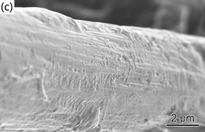 改性碳纖維增強尼龍6復合材料的制備及性能