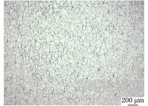 增材制造高溫合金的相控陣超聲檢測