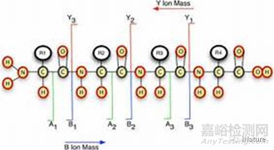 ?質(zhì)譜領(lǐng)域又有哪些新技術(shù)？