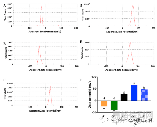 從馬骨中提取納米羥基磷灰石制備新型基因載體，用于牙髓干細胞成骨分化