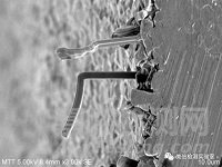 錫須形貌觀察與測量