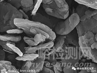 錫須形貌觀察與測量