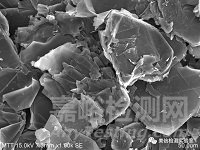 錫須形貌觀察與測量