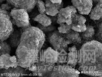 錫須形貌觀察與測量