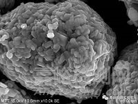 錫須形貌觀察與測量