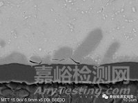 錫須形貌觀察與測量