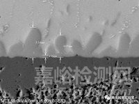 錫須形貌觀察與測量