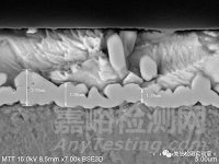 錫須形貌觀察與測量