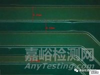 錫須形貌觀察與測量