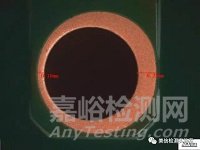 錫須形貌觀察與測量