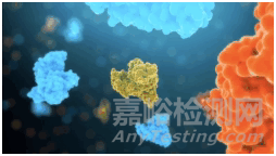 人工智能聯(lián)合蛋白質(zhì)組學(xué)引發(fā)藥物研發(fā)生物學(xué)底層變革