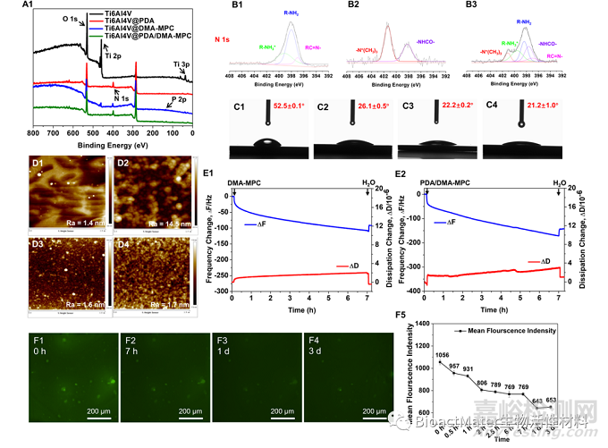 醫(yī)用植入物表面仿生自吸附涂層的潤(rùn)滑與抑菌性能研究