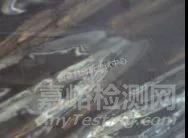 改性PC注塑出現(xiàn)“料花”的原因及解決措施