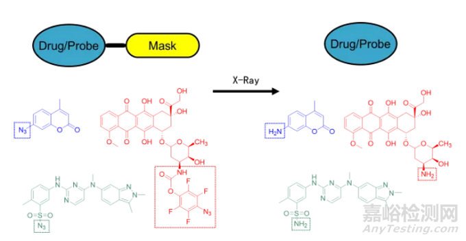 醫(yī)用放射治療X射線激活抗腫瘤藥物研究獲進(jìn)展