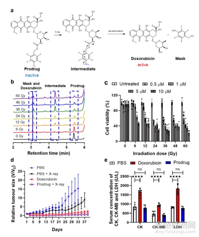 醫(yī)用放射治療X射線激活抗腫瘤藥物研究獲進(jìn)展