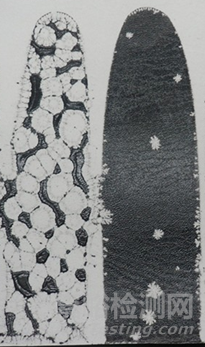 涂料中的基材潤濕劑