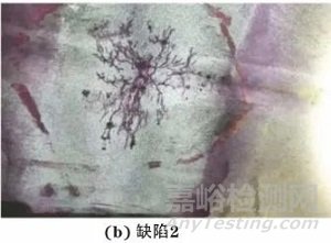 陣列渦流和全聚焦相控陣檢測承壓設(shè)備應(yīng)力腐蝕開裂 