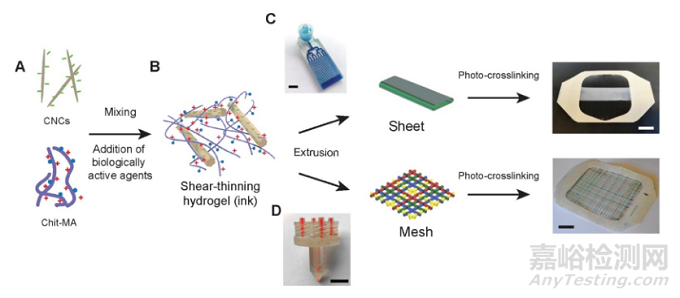 3D打印水凝膠敷料可適用于傷口治療