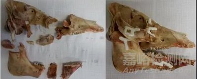 新型復合材料堅固無毒，可替代金屬板