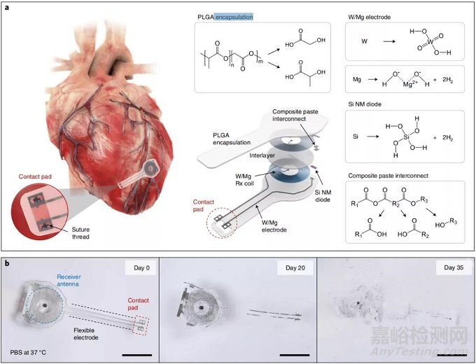 史上首個(gè)瞬時(shí)起搏器誕生！自動(dòng)無害降解