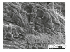 某地鐵受電弓拉桿球鉸軸承失效原因