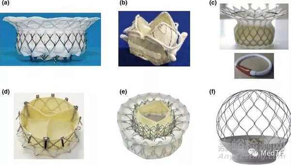 SingValve：首款允許私人定制的二尖瓣瓣膜