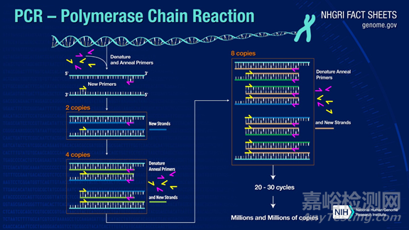 分子診斷技術全解析