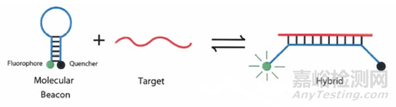分子診斷技術全解析