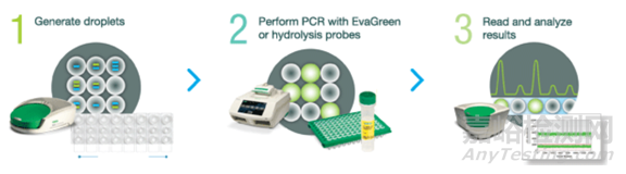 分子診斷技術全解析