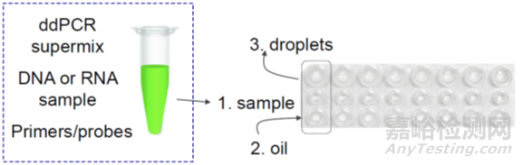 分子診斷技術全解析