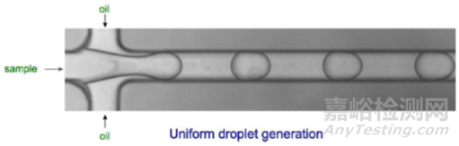分子診斷技術全解析