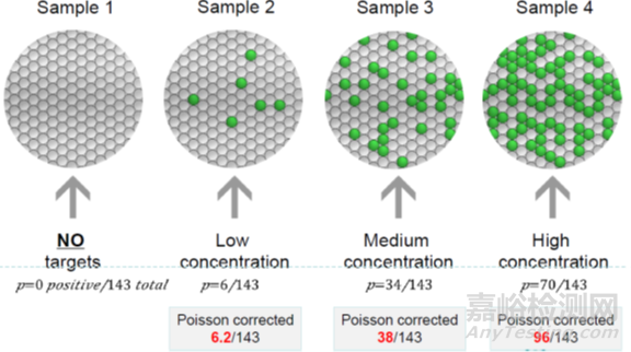 分子診斷技術全解析