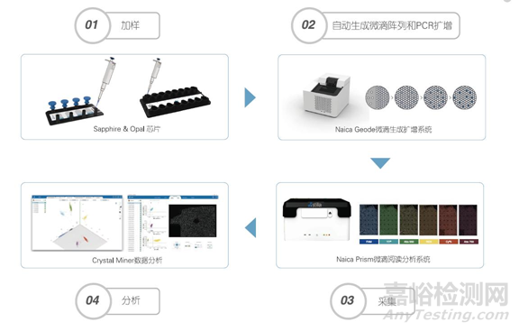 分子診斷技術全解析