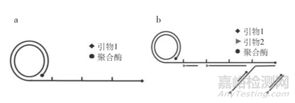 分子診斷技術全解析
