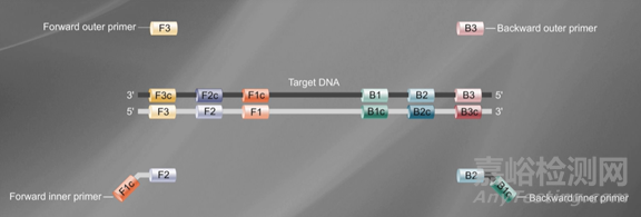 分子診斷技術全解析