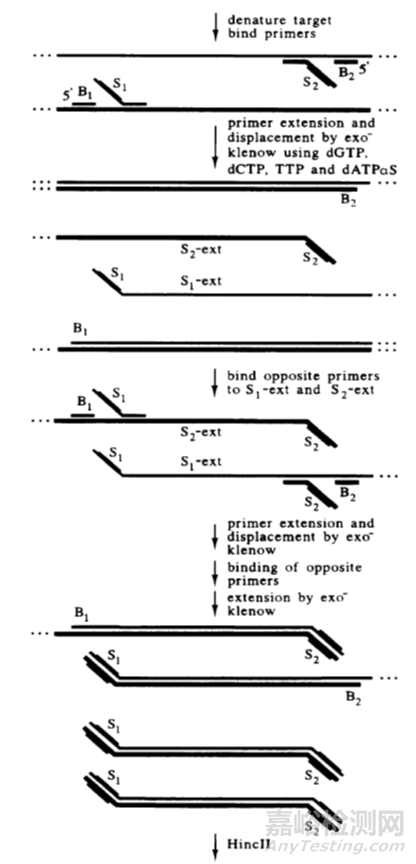 分子診斷技術全解析