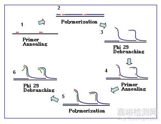 分子診斷技術全解析