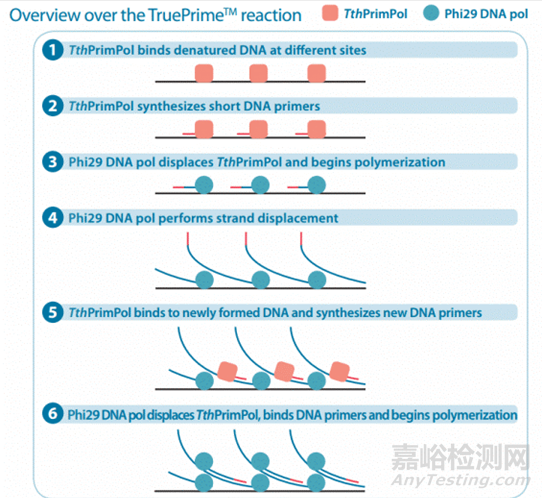 分子診斷技術全解析
