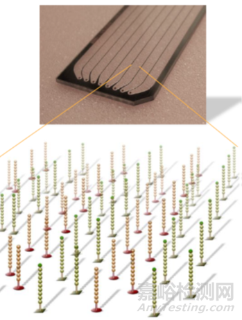 分子診斷技術全解析