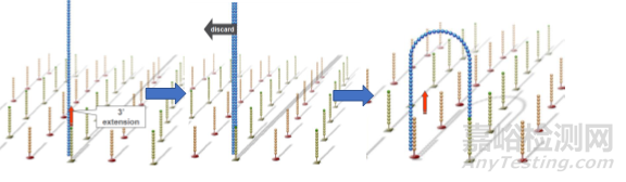 分子診斷技術全解析