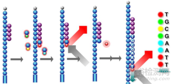 分子診斷技術全解析