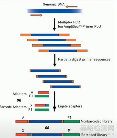 分子診斷技術全解析