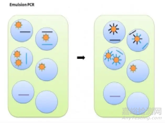 分子診斷技術全解析