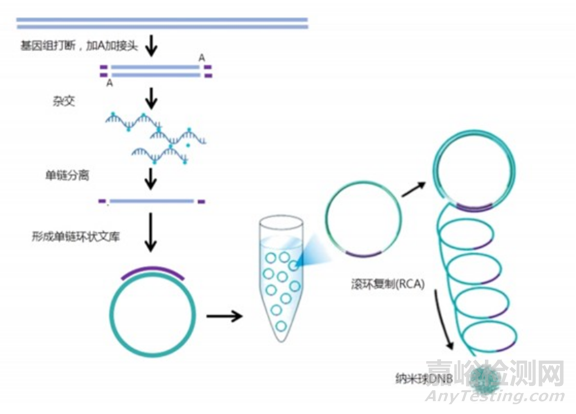 分子診斷技術全解析