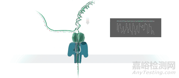 分子診斷技術全解析