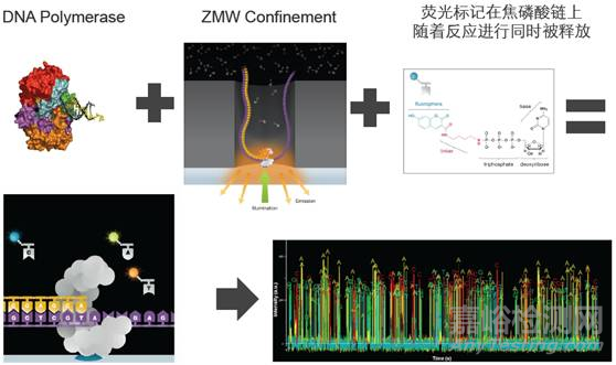 分子診斷技術全解析