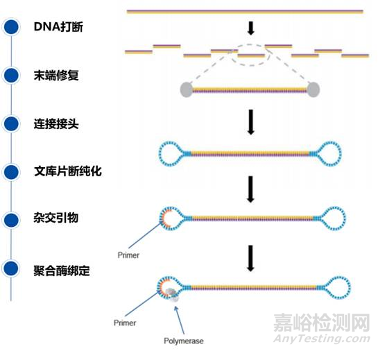 分子診斷技術全解析