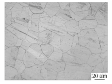 304奧氏體不銹鋼管焊接接頭出現(xiàn)開裂的原因