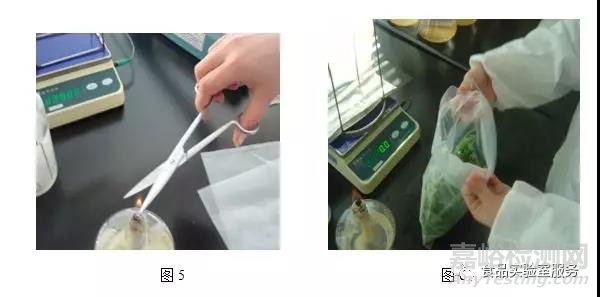 微生物取樣、樣品制備技巧及稀釋、接種、培養(yǎng)方法匯總