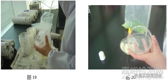 微生物取樣、樣品制備技巧及稀釋、接種、培養(yǎng)方法匯總